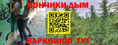 сатива Заволжье