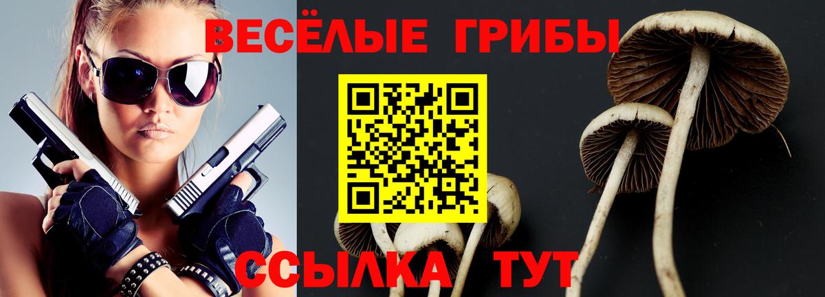 Галлюциногенные грибы мухоморы Крымск